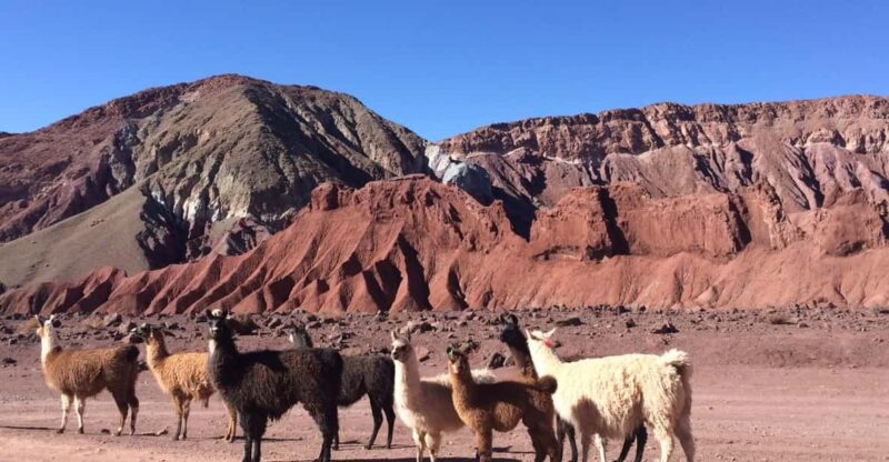 RAINBOW VALLEY - Itinerary Highlights