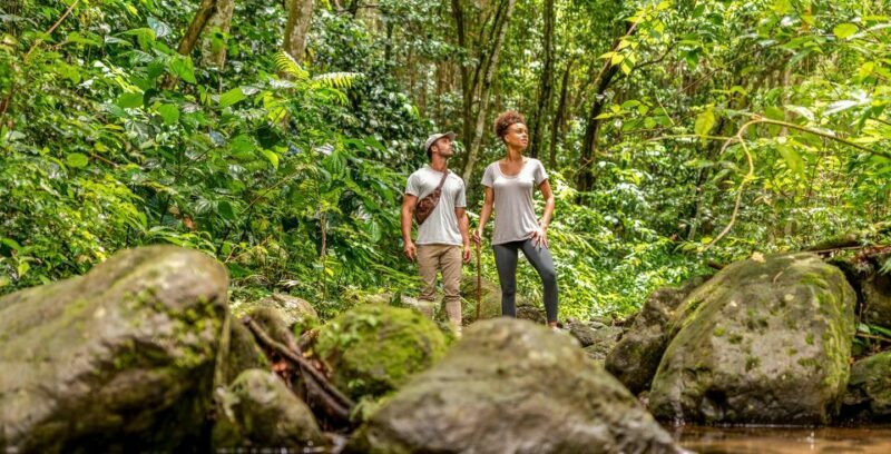 Rainforest Adventure - Guided Tour of Old Road Town and Beyond