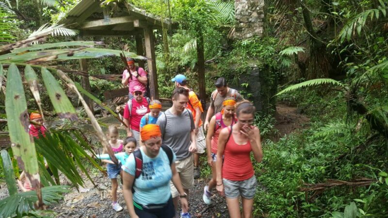 Rainforest Adventure - Highlights Along the Route