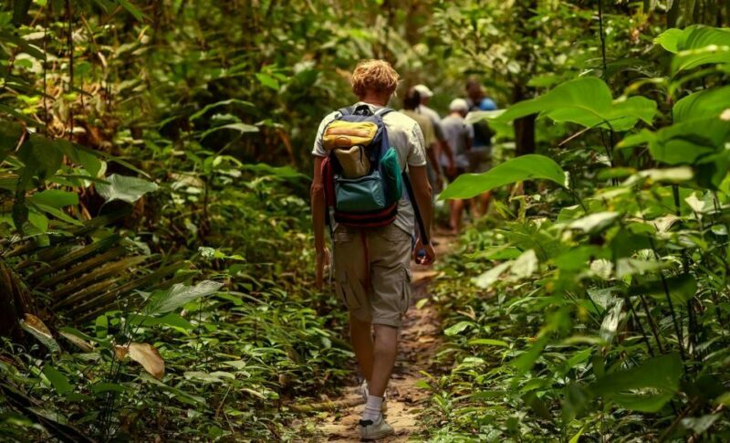 Rainforest Adventure - End with a Refreshing Swim
