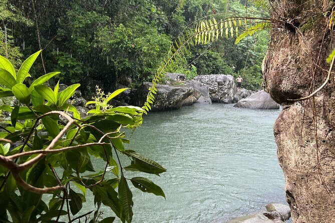 Rainforest Adventure All inclusive Food and Fotos - Who Will Love This Tour?