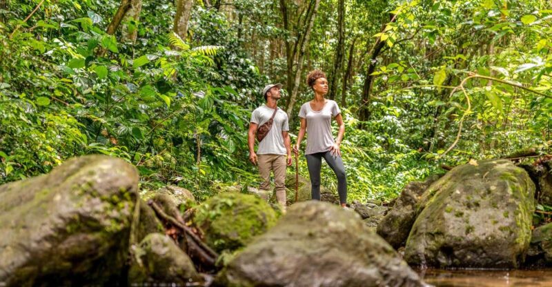 Rainforest Adventure - Key Points
