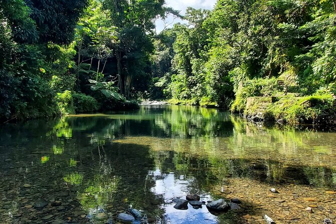 Rainforest and Junglequi Zipline Combo Tour - Inclusions