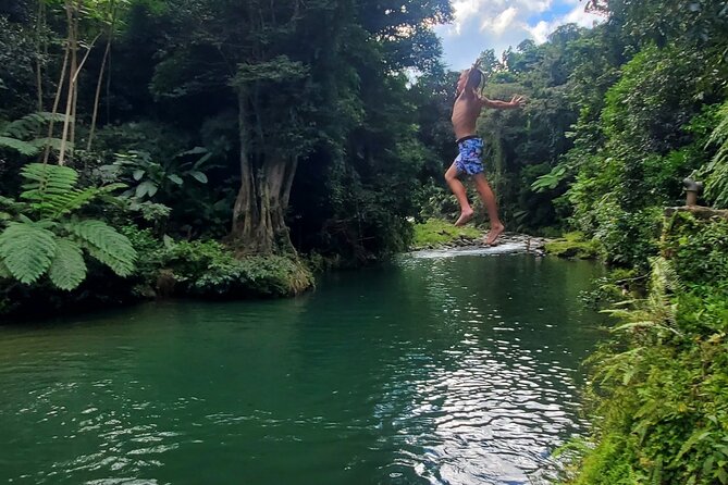Rainforest and Junglequi Zipline Combo Tour - Rainforest Experience