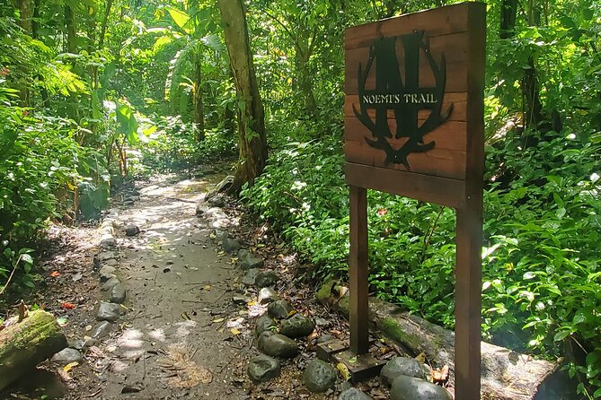 Rainforest and Junglequi Zipline Combo Tour - Zipline Adventure