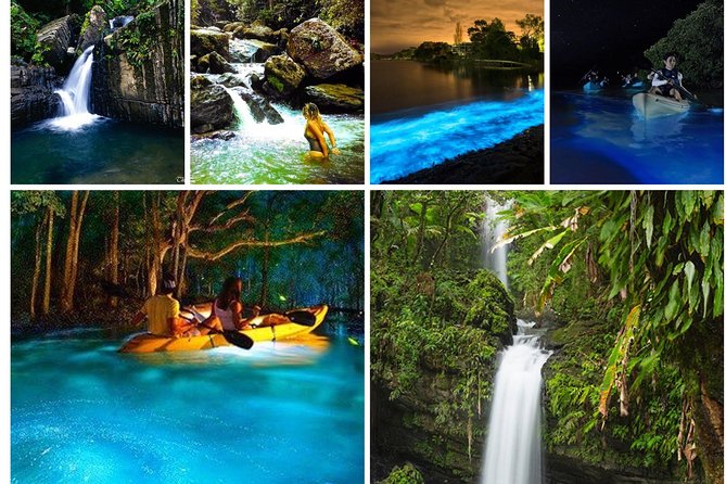 Rainforest and Luquillo Beach Plus Biobay Kayak Tour - Health and Safety Guidelines
