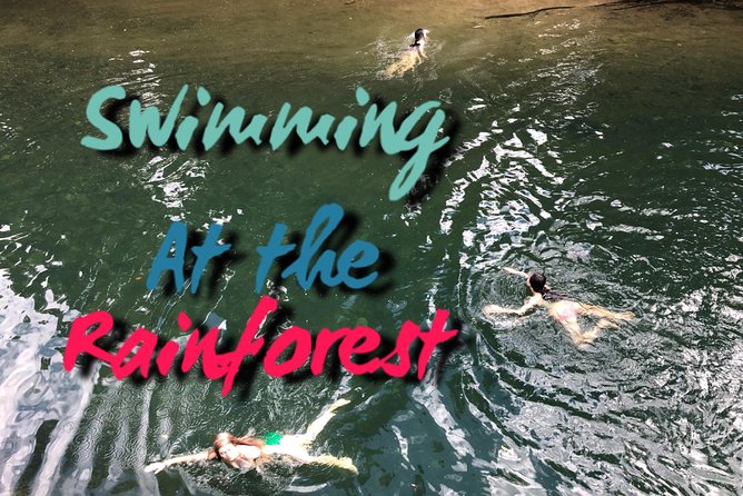 Rainforest and Luquillo Beach Plus Biobay Kayak Tour - Customer Reviews