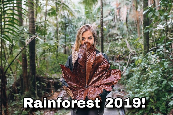 Rainforest and Luquillo Beach Plus Biobay Kayak Tour - Booking Your Stay