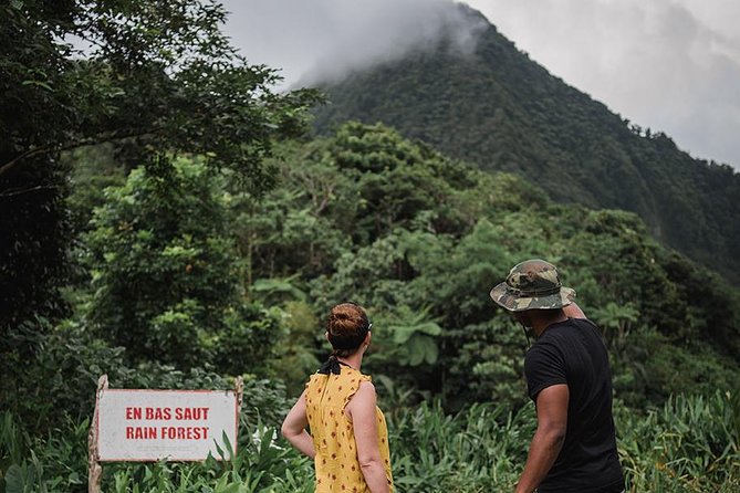 Rainforest Bathing Tour - Restorative Benefits of Rainforest Bathing
