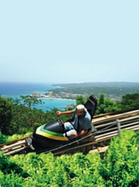 Rainforest Bobsled Mystic Mountain Tour Fr Montego Bay - Inclusions and Exclusions