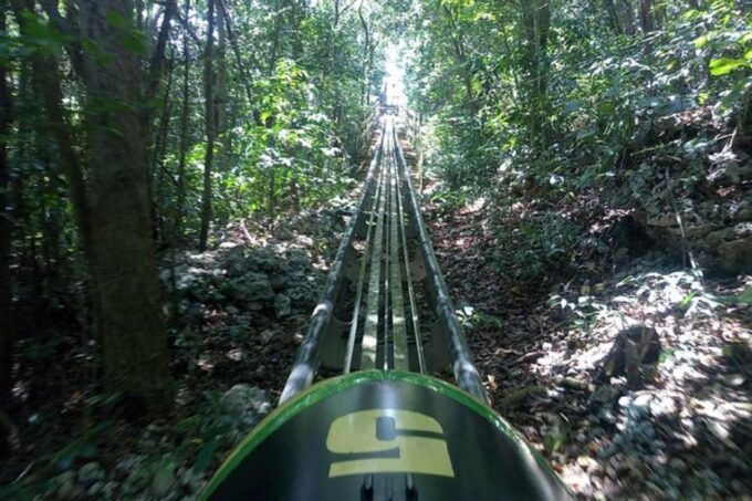 Rainforest Bobsled Mystic Mountain Tour Fr Montego Bay - Who Should Avoid