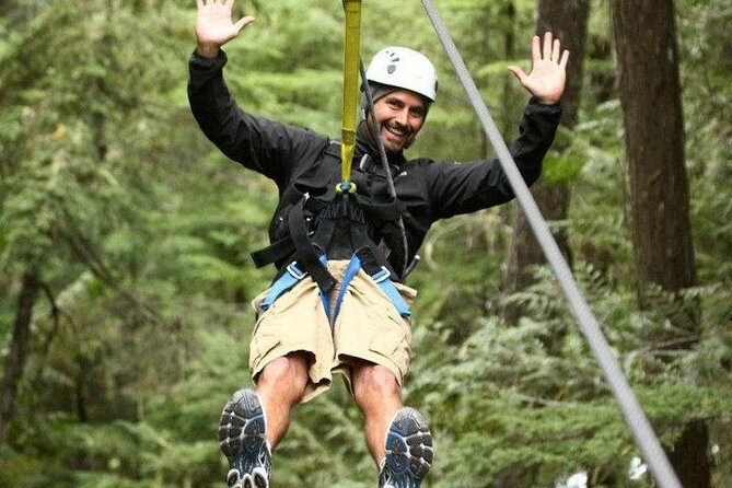 Rainforest Canopy Adventure from Vieux Fort or North Island, St Lucia - Key Points