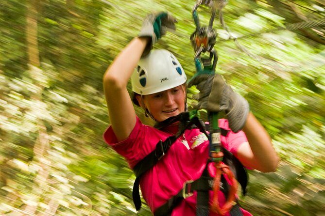 Rainforest Canopy Adventure from Vieux Fort or North Island, St Lucia - An Up-Close Look at the Rainforest Canopy Adventure