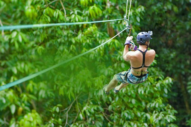 Rainforest Canopy Adventure from Vieux Fort or North Island, St Lucia - The Sum Up