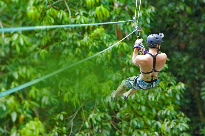 Rainforest Canopy Adventure From Vieux Fort or North Island, St Lucia - Expectations and Requirements