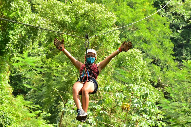 Rainforest Canopy Adventure Pacific - Explore the Rainforest Canopy