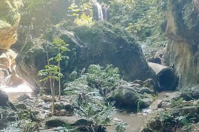 Rainforest Caves and Waterfalls Exploration With Transportation - Private Tour Experience