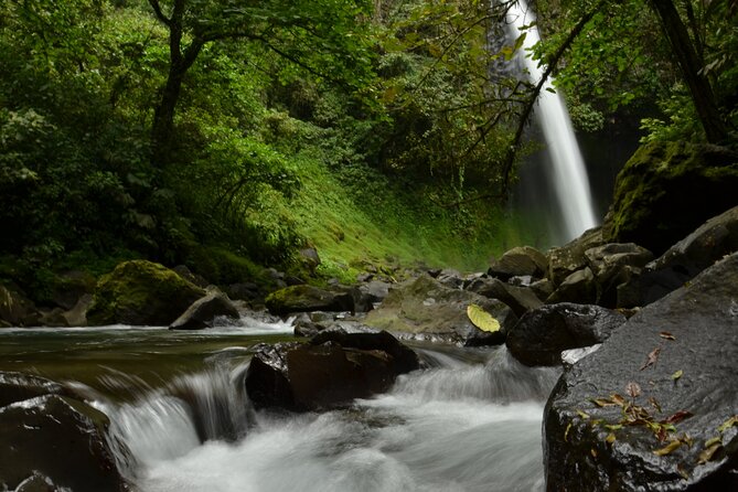 Rainforest Chocolat & La Fortuna Waterfall Adventure - Transportation and Pickup Details