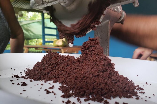 Rainforest Combo - Chocolate - Sloths - Cortes Waterfall - Cortes Waterfall