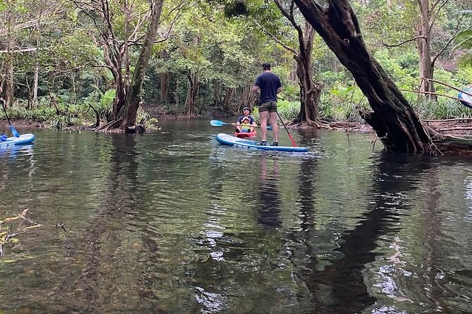 Rainforest Drift - FreshWater Rainforest - Included Experiences