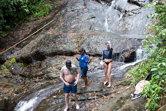 Rainforest Hike and Waterfall Safari - Participant Information