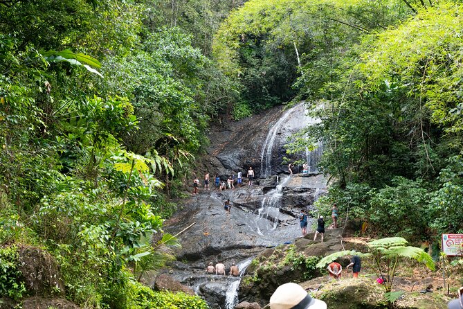 Rainforest Hike and Waterfall Safari - Customer Experiences