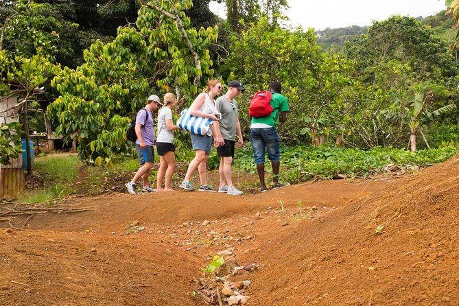 Rainforest Hike - About Your Stay