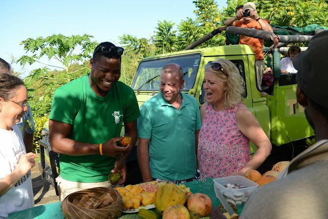 Rainforest Hike & Waterfall Safari St. Lucia From Castries - An In-Depth Look at the Experience