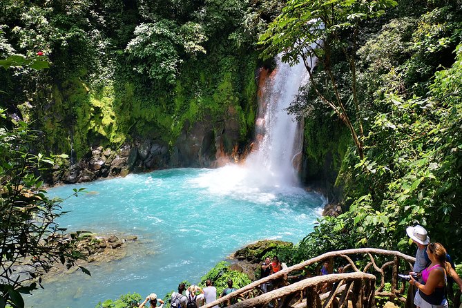 Rainforest Hiking to Rio Celeste Waterfall Private Tour - Meal Options and Dietary Choices