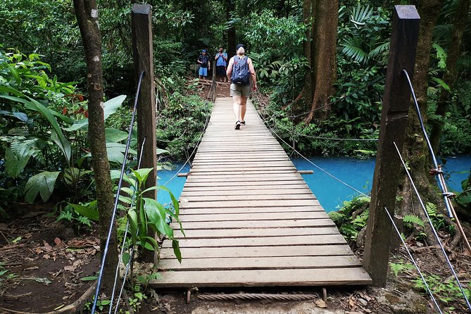 Rainforest Hiking to Rio Celeste Waterfall Private Tour - Positive Guest Experiences