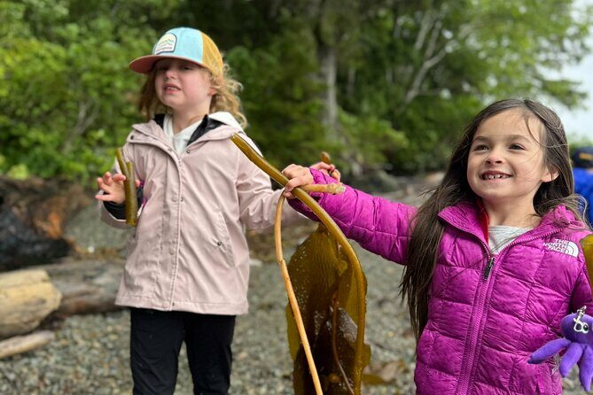 Rainforest Hiking/Walking Tour in Ketchikan Alaska (Private Tour) - Authentic Feedback and Insights