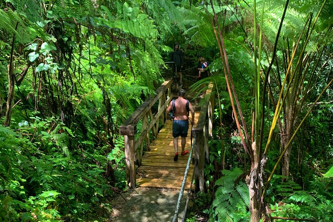 Rainforest Nature Walk & Luquillo Beach Combo - Mixed Reviews on the Hike