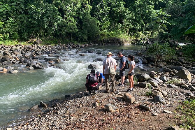 Rainforest Nature Walk & Luquillo Beach Combo - Enjoyable River Swim and Beach