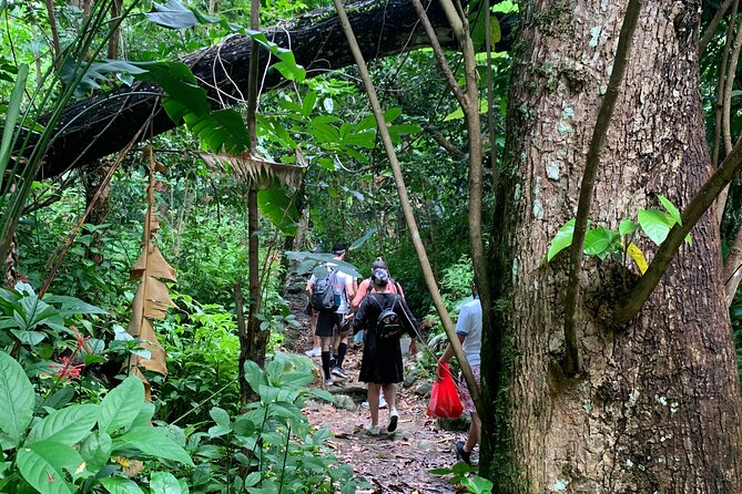 Rainforest Nature Walk & Luquillo Beach Combo - Disappointment Regarding Transportation and Fruit Stand