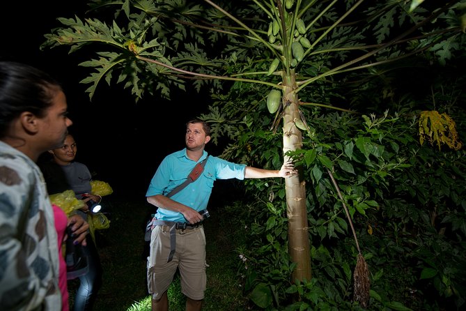 Rainforest Night Walking Tour (Private Property) - Accessibility and Participation