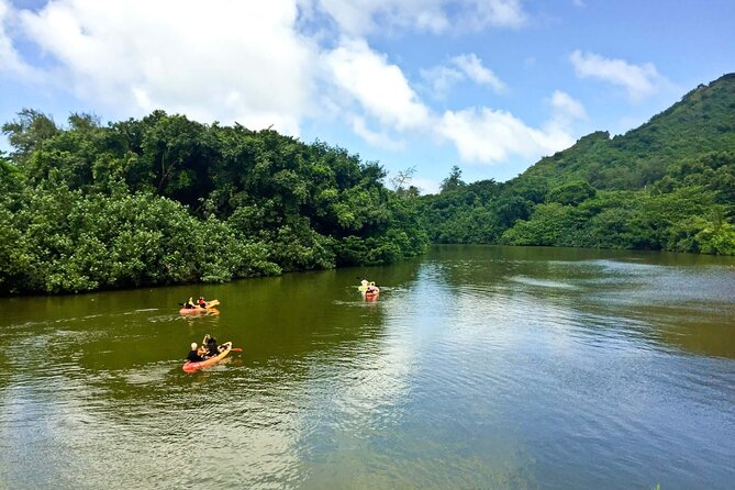 Rainforest River Kayak Self-Guided Kayak Tour - Physical Fitness Requirements