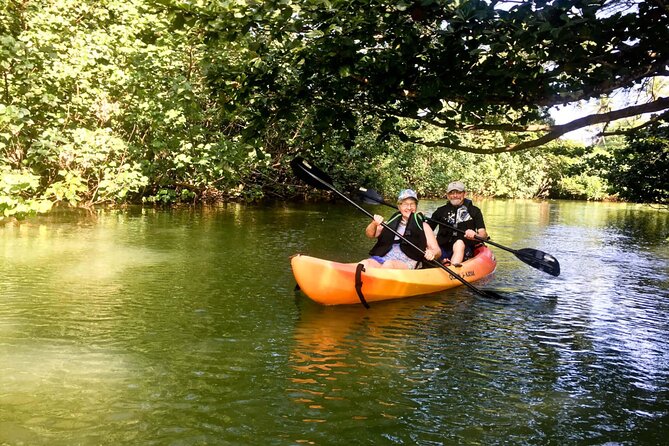 Rainforest River Kayak Self-Guided Kayak Tour - Cancellation Policy