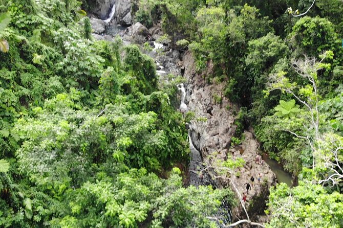 Rainforest River Nature Walk Adventure and Luquillo Beach - Ecosystem Insights