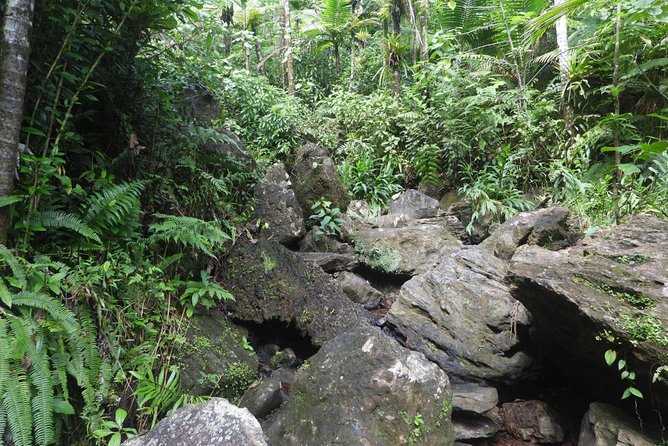 Rainforest River Nature Walk Adventure and Luquillo Beach - Local Cuisine and Kiosks