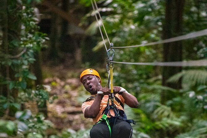 Rainforest Rush: St. Lucia Zip Line Adventure - Meeting and Pickup