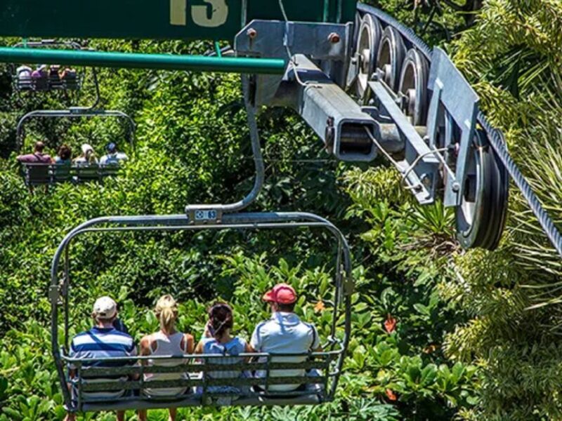 Rainforest Sky Explorer Mystic Mountain Tour Fr Montego Bay - Itinerary and Activities