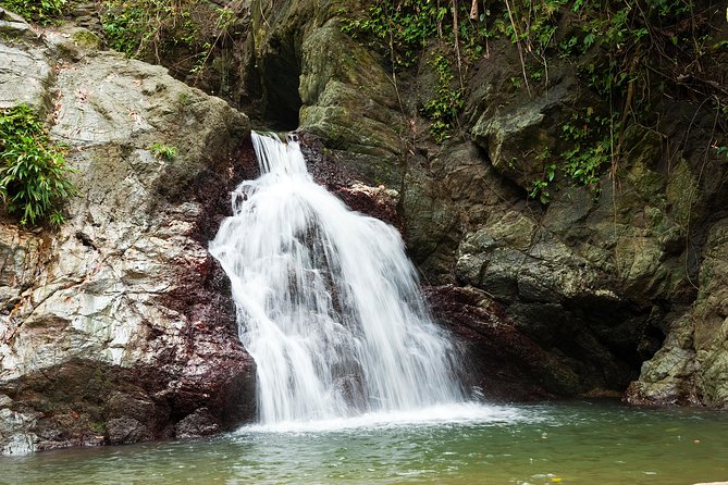 Rainforest Tour - Health and Accessibility Considerations