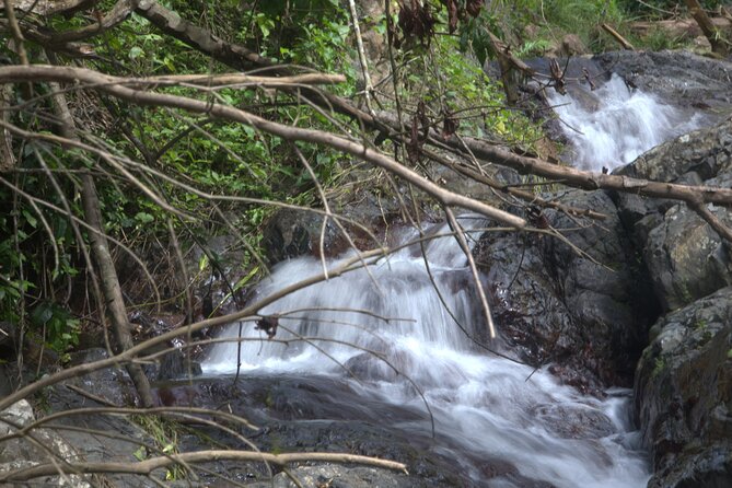 Rainforest Tour in San Juan, Puerto Rico - Exploring the Rainforest