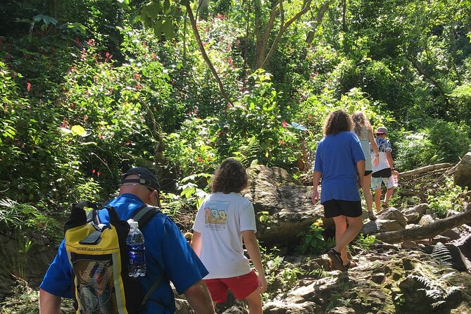 Rainforest Tour in San Juan, Puerto Rico - Highlights of the Experience