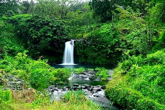 Rainforest Tour to Hana and Beyond - Meeting and Pickup