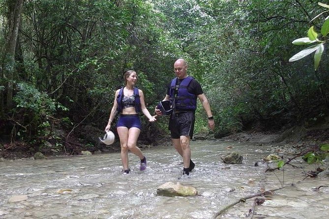 Rainforest Trek to Natural Pool - Taino Bay & Amber Cove Ports - Wildlife Viewing Opportunities