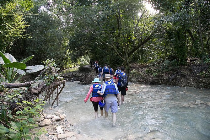 Rainforest Trek to Natural Pool - Taino Bay & Amber Cove Ports - Participant Feedback
