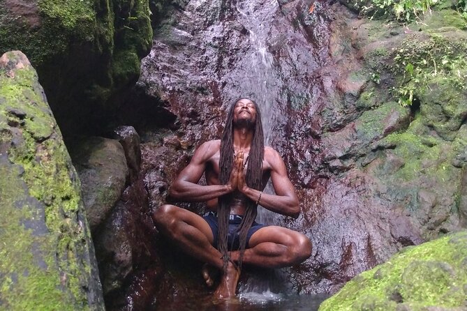 Rainforest Waterfall Hike With Rastafarian Nature Guide - About Your Stay