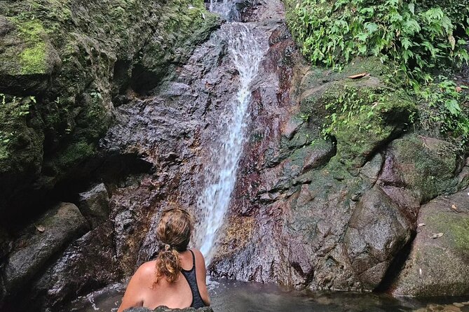 Rainforest Waterfall Hike With Rastafarian Nature Guide - Transportation Details