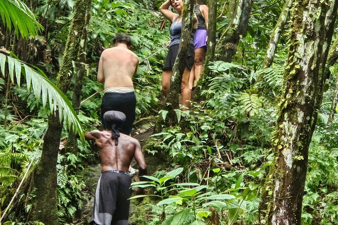 Rainforest Waterfall Hike With Rastafarian Nature Guide - Health and Accessibility